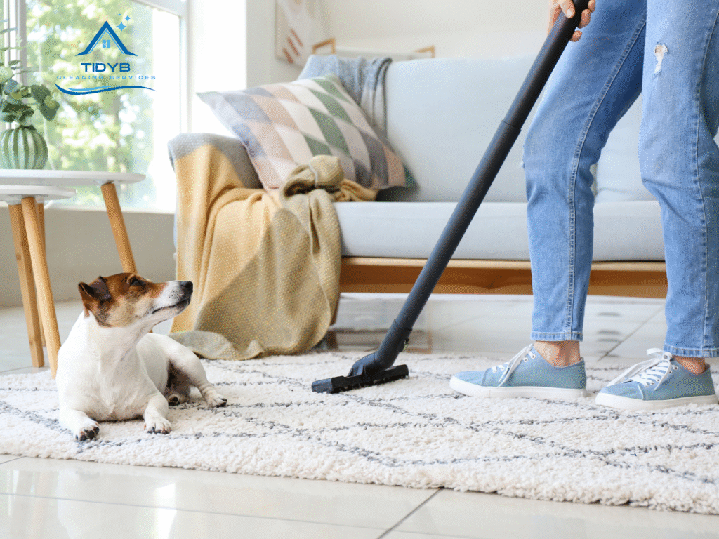 Clean home interior with pet-friendly cleaning products